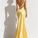 Robe dorée dos nu longue - Robe dorée